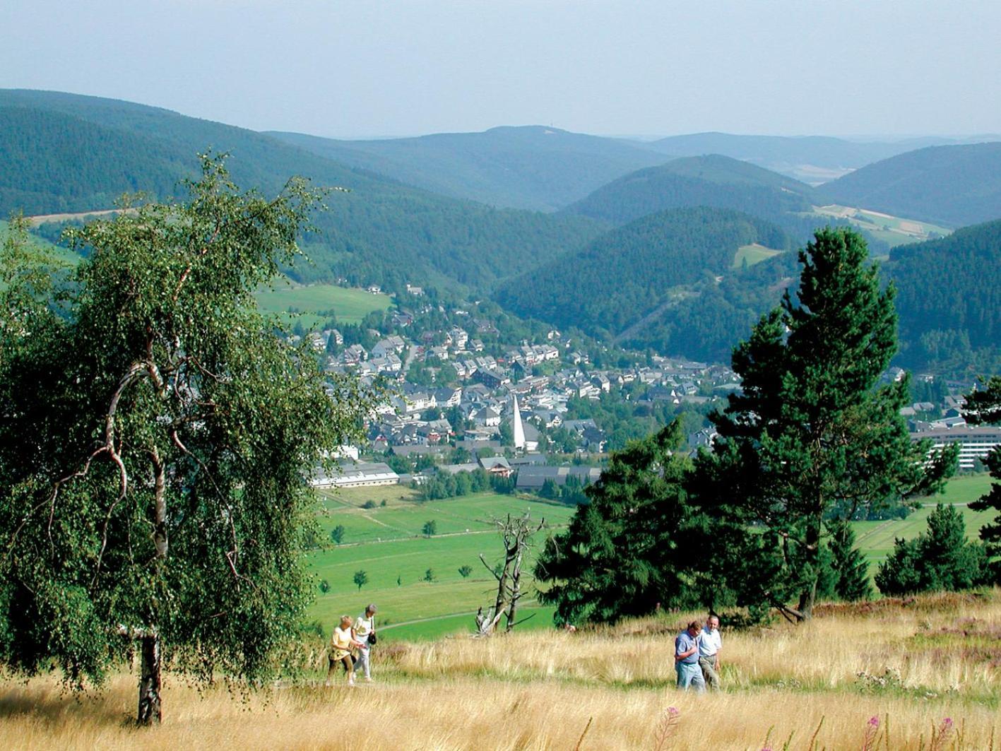 Chalet La Belle Willingen Willingen  Exterior foto